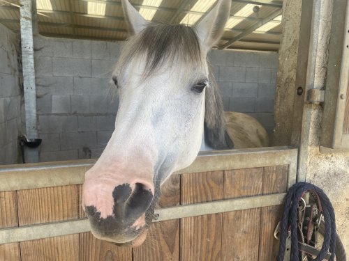 CLERES DU BREUIL